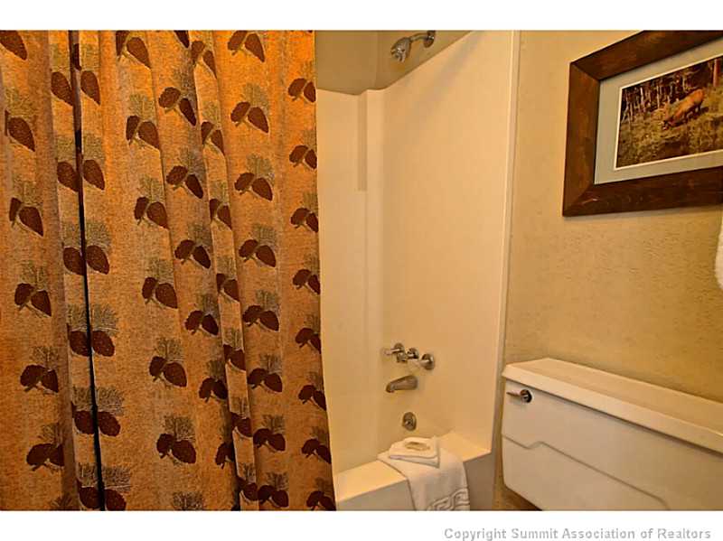 88 Guller Road, Unit 505 Frisco, CO 80443 - Photo 12 of 21 Bathroom. Full shower & toilet separate from the vanity area.