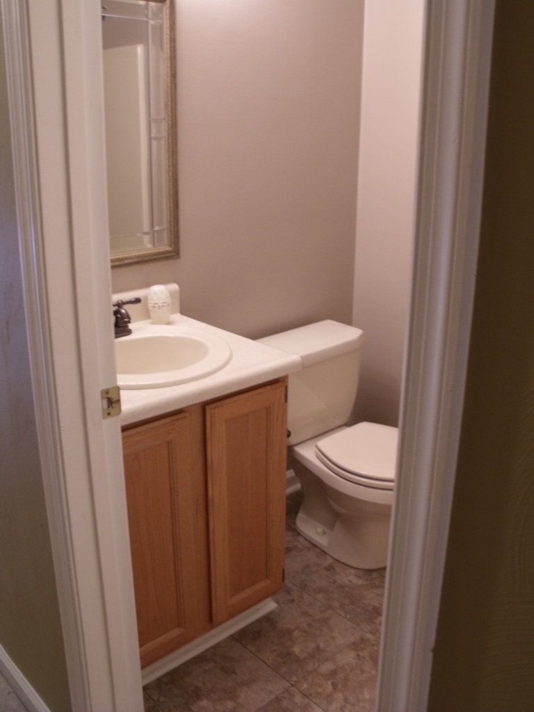 1041 Rock Spring Road Goodview, VA 24095 - Photo 22 of 35 a bathroom with a sink a toilet and a mirror