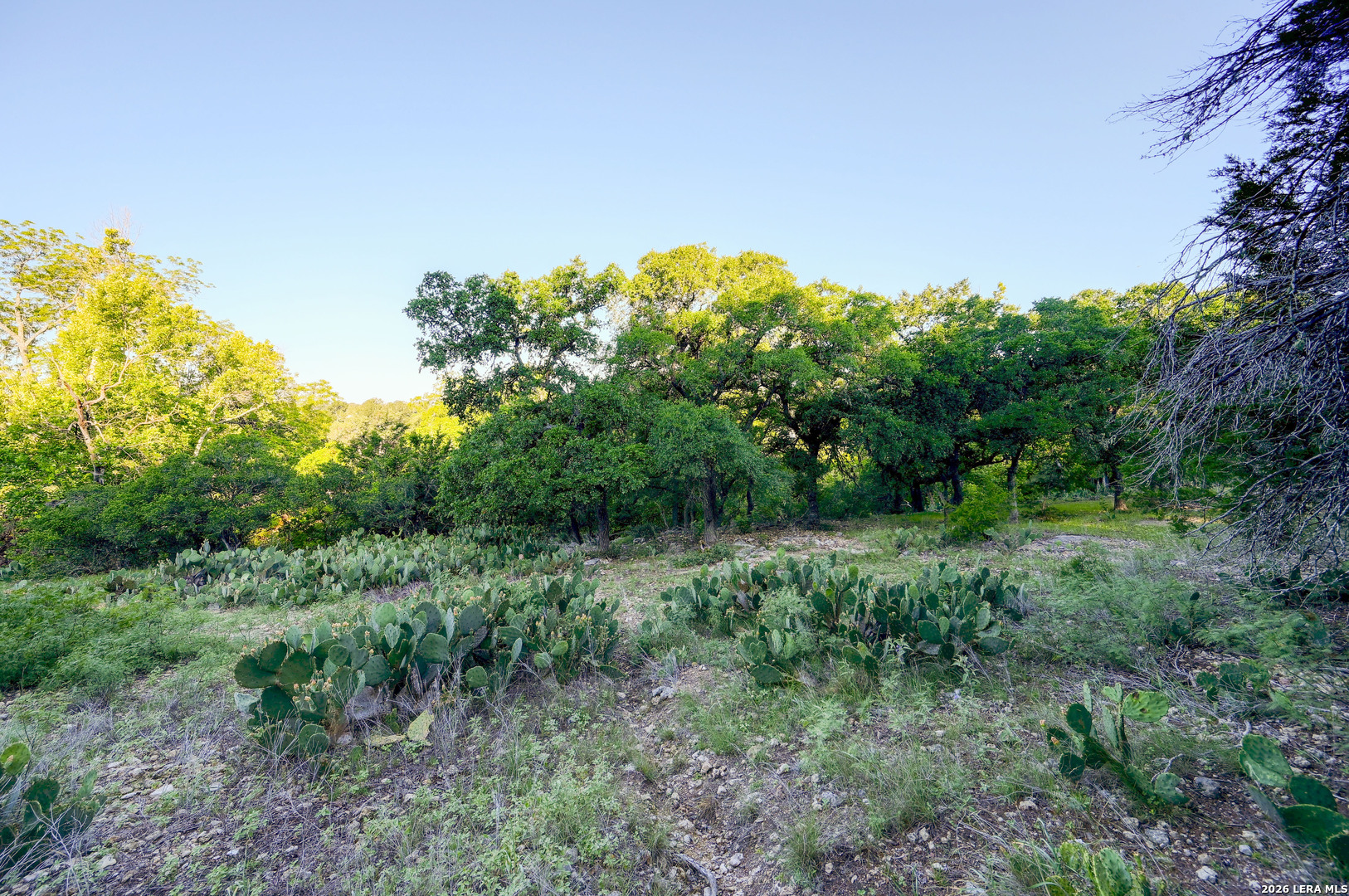 315 Rittimann Road Spring Branch, TX 78070 - Photo 33 of 51