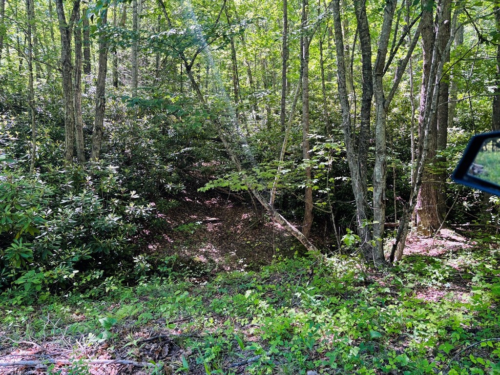 Tbd Pleasantview Road, Unit 72 Austinville, VA 24312 - Photo 63 of 63 Gallery Image 63