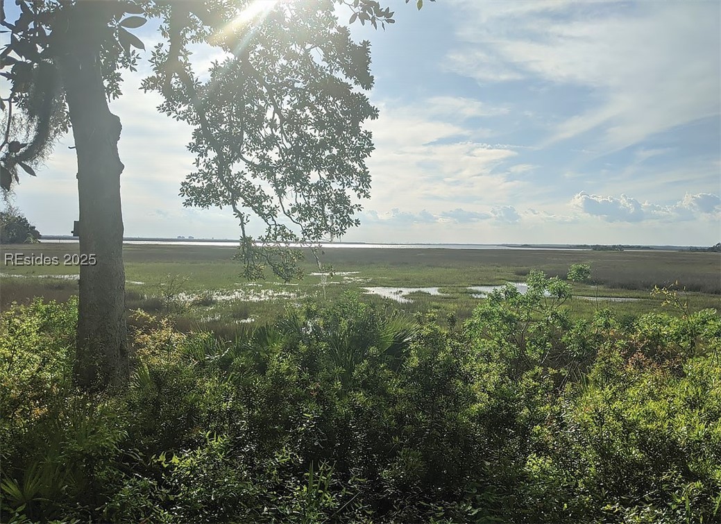 39 Church Road Daufuskie Island, SC 29915 - Photo 4 of 5