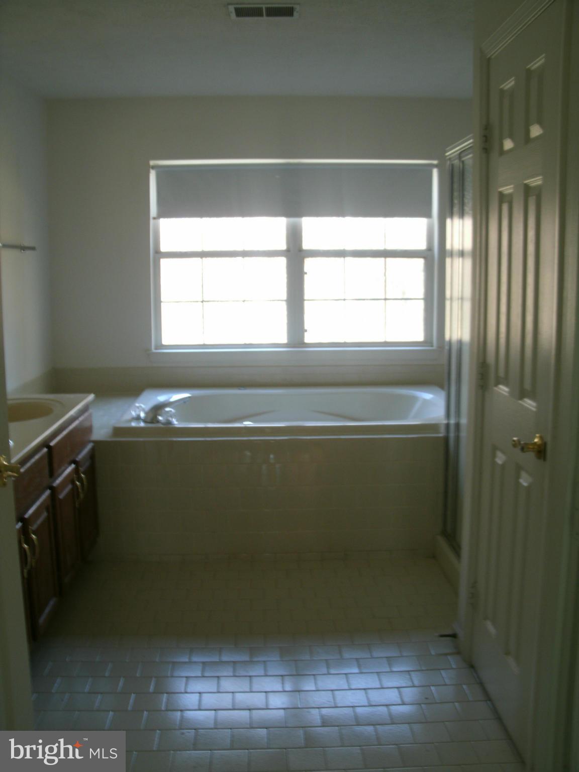 9801 Bald Hill Road Bowie, MD 20721 - Photo 10 of 10 Bath (Master)