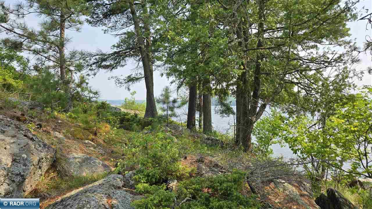 11.85 Bessette Road Orr, MN 55771 - Photo 24 of 50