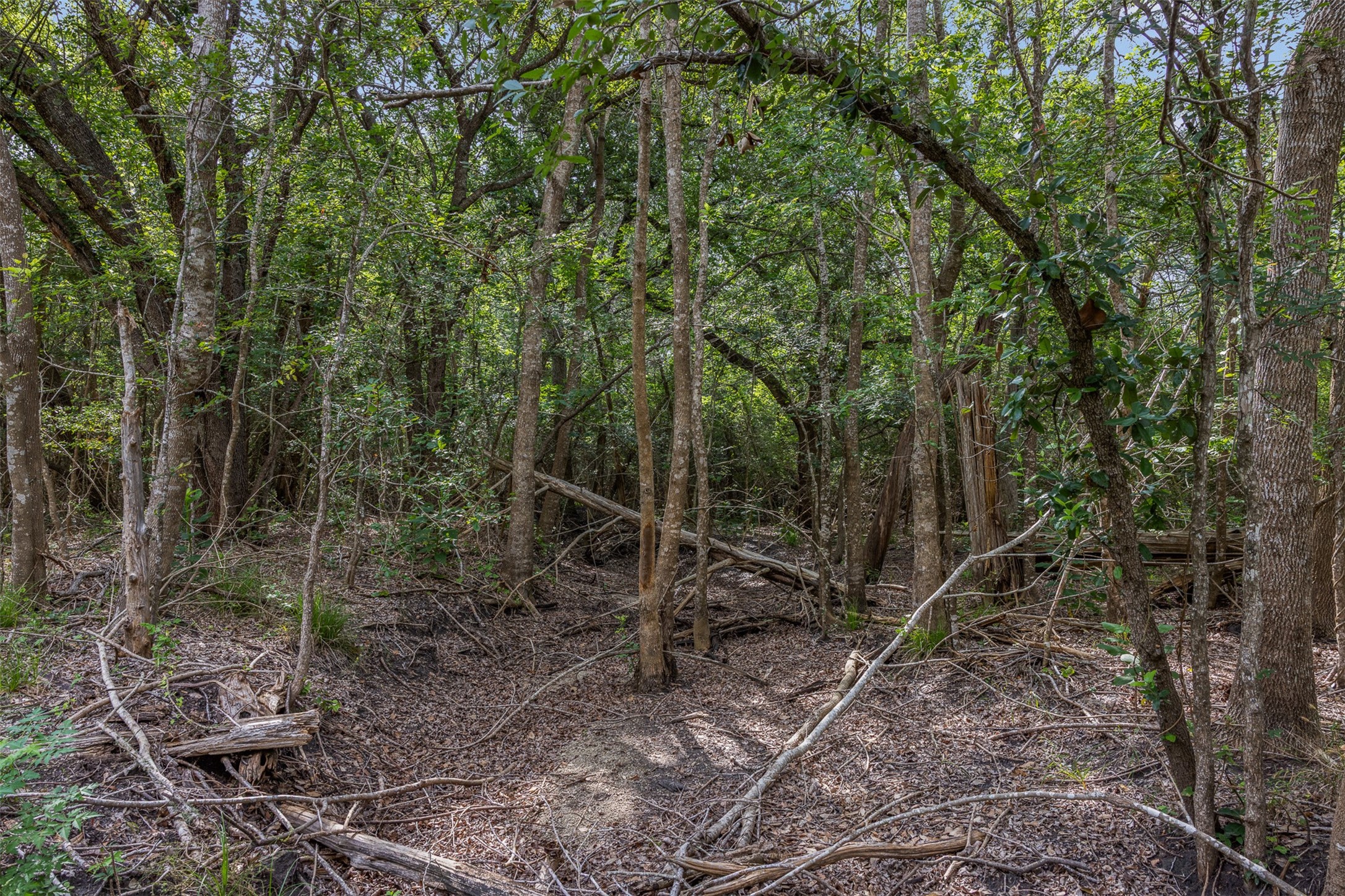 0 Schuster Road Round Top, TX 78954 - Photo 11 of 26