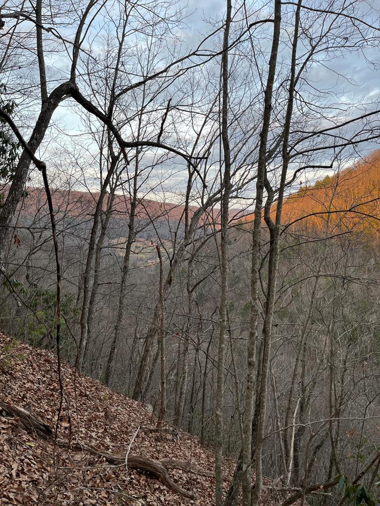 Tbd Carlock Creek Road Chilhowie, VA 24319 - Photo 7 of 12 Gallery Image 7