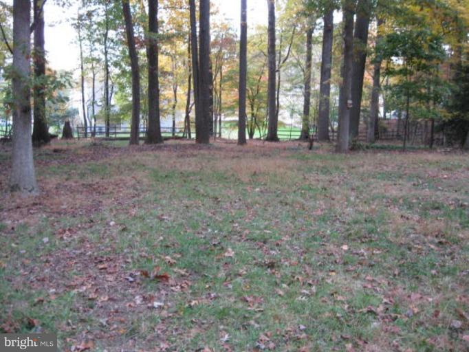 601 Rockford Road Silver Spring, MD 20902 - Photo 3 of 26 backyard