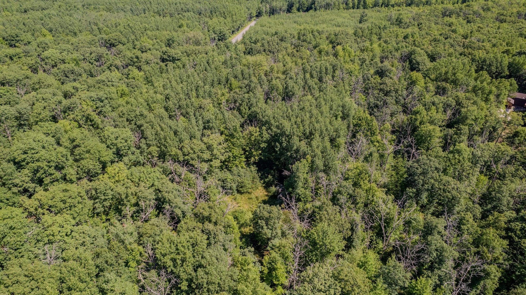 East Cranberry Lake Road Harrison, MI 48625 - Photo 9 of 10