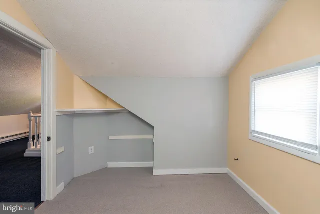 a view of a backyard with plants