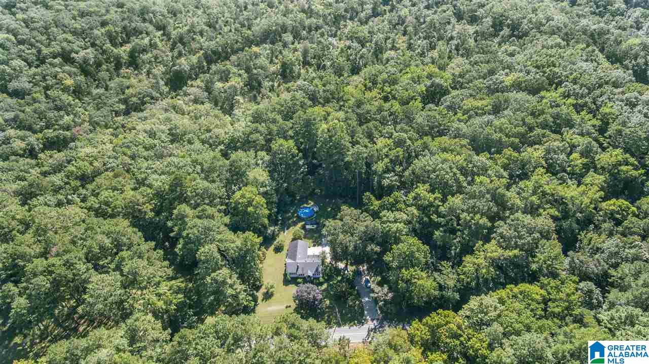7545 Cedar Mountain Road Pinson, AL 35126 - Photo 33 of 36