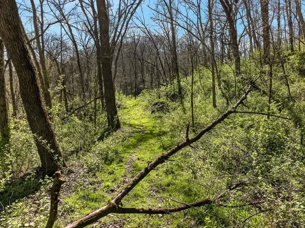 $775,000 | 5765 Mill Road, Dodgeville, WI 53533