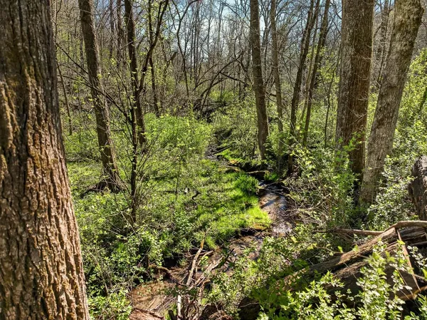 $775,000 | 5765 Mill Road, Dodgeville, WI 53533