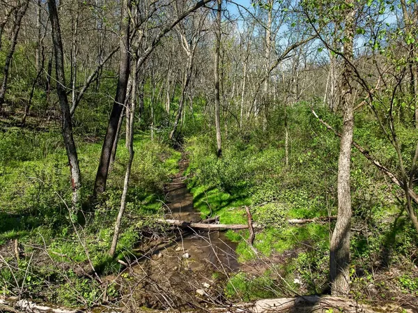 $775,000 | 5765 Mill Road, Dodgeville, WI 53533