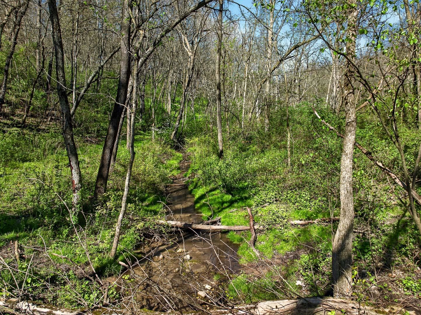 5765 Mill Road Dodgeville, WI 53533 - Photo 64 of 67