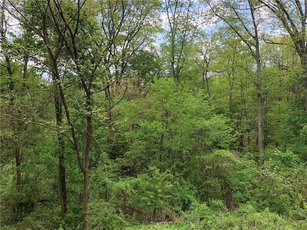 108 Owens Road Coraopolis, PA 15108 - Photo 14 of 15 Amazing wooded backyard.