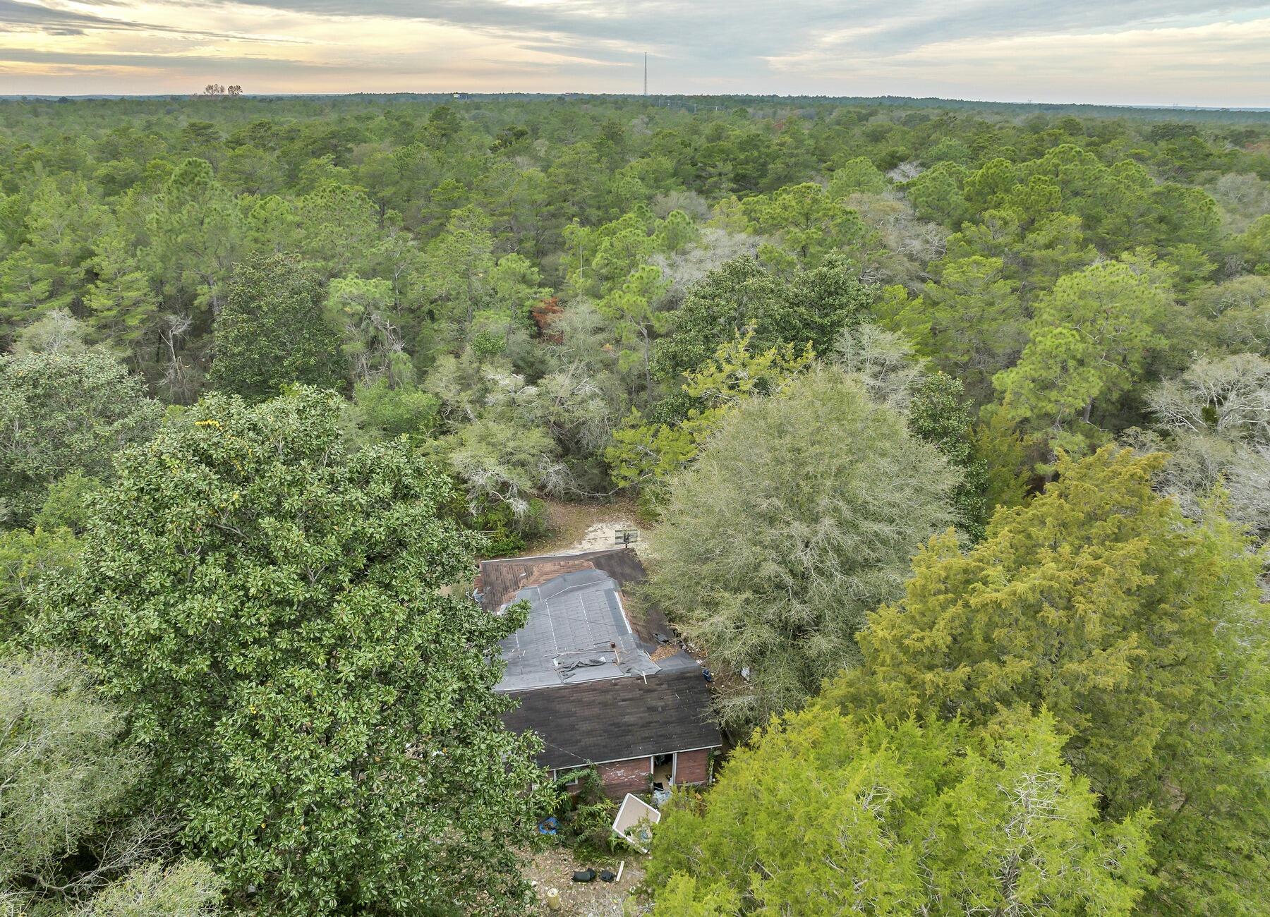 477 Bear Head Road DeFuniak Springs, FL 32435 - Photo 18 of 29 DJI_0142