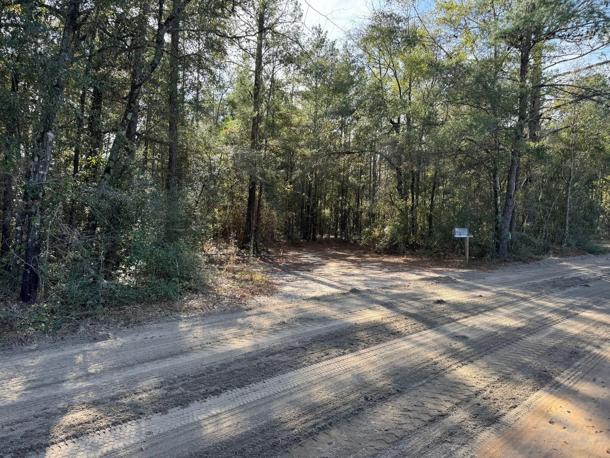 477 Bear Head Road DeFuniak Springs, FL 32435 - Photo 20 of 29 IMG-20231129-WA0012