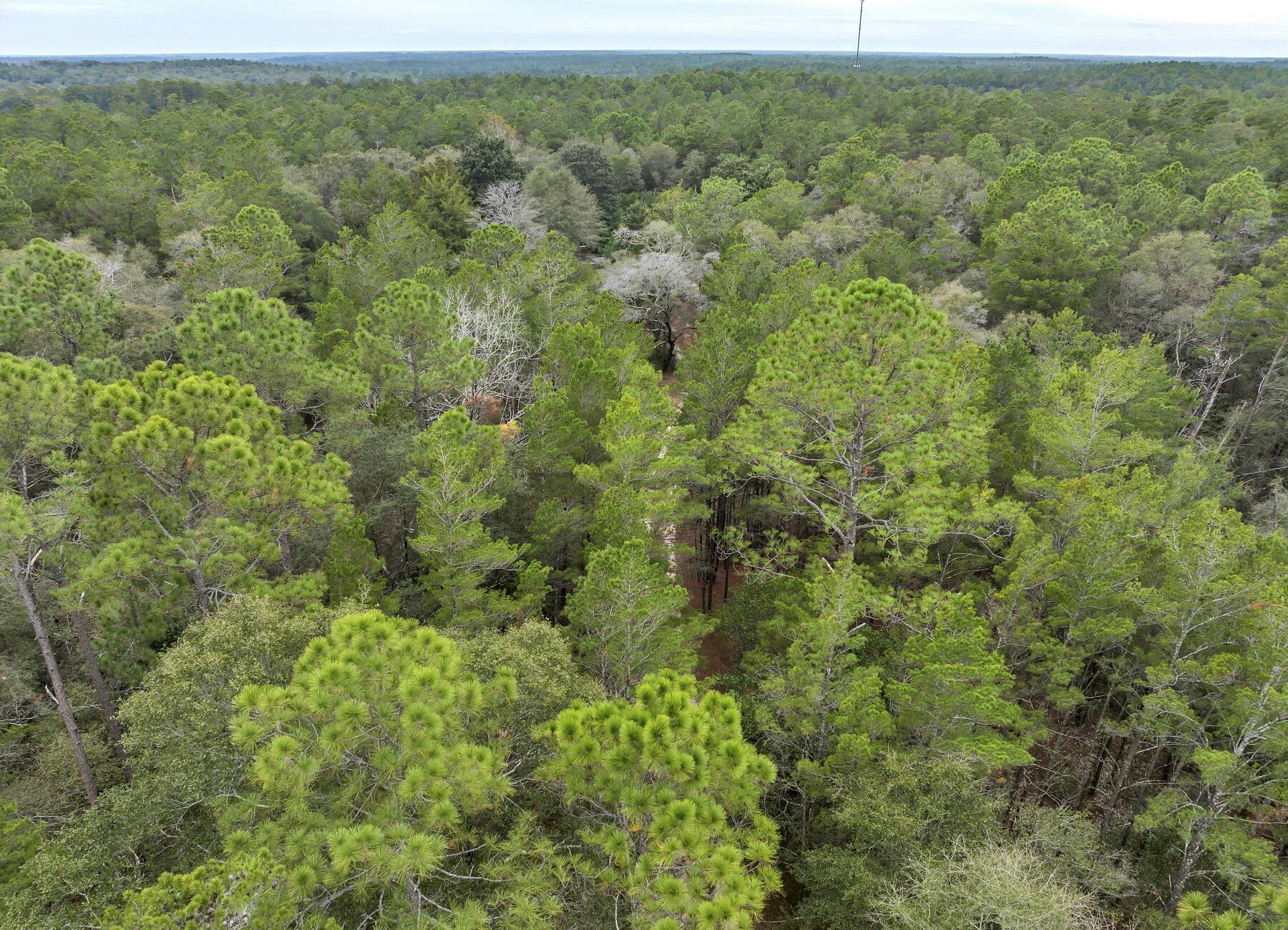 477 Bear Head Road DeFuniak Springs, FL 32435 - Photo 3 of 29 DJI_0103