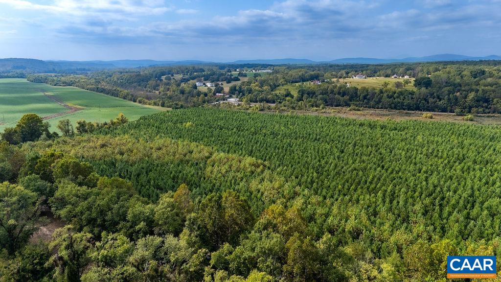 Tbd James River Road Wingina, VA 24599 - Photo 23 of 33 a view of a lush green outdoor space with a lake view