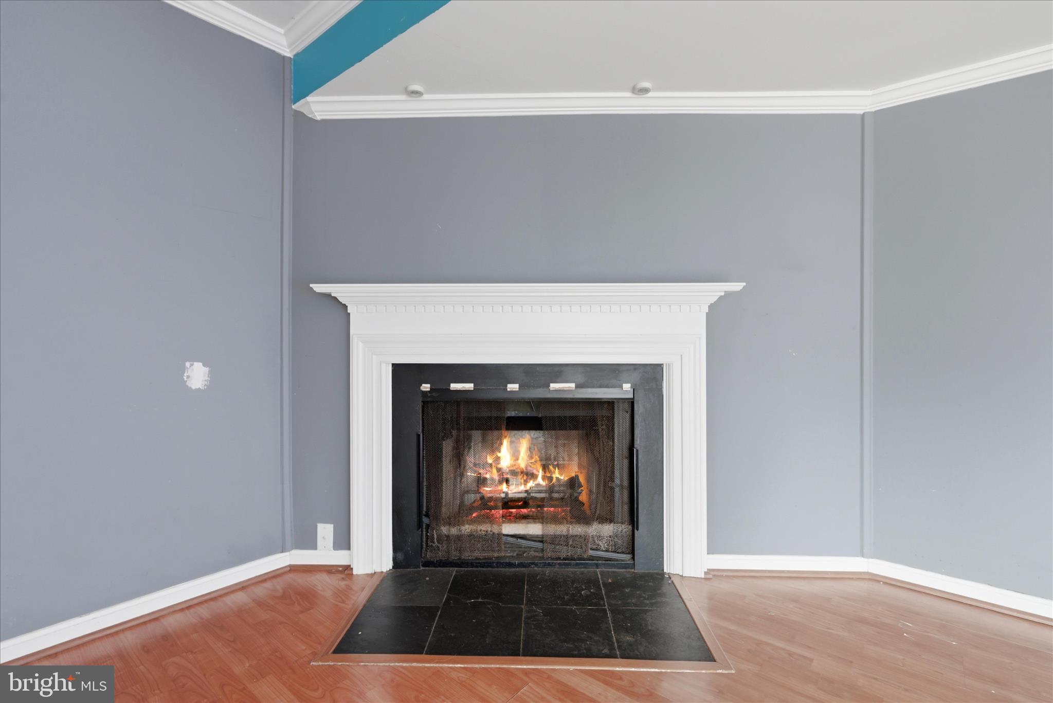 8230 Blue Ridge Court Manassas, VA 20109 - Photo 27 of 37 Fireplace