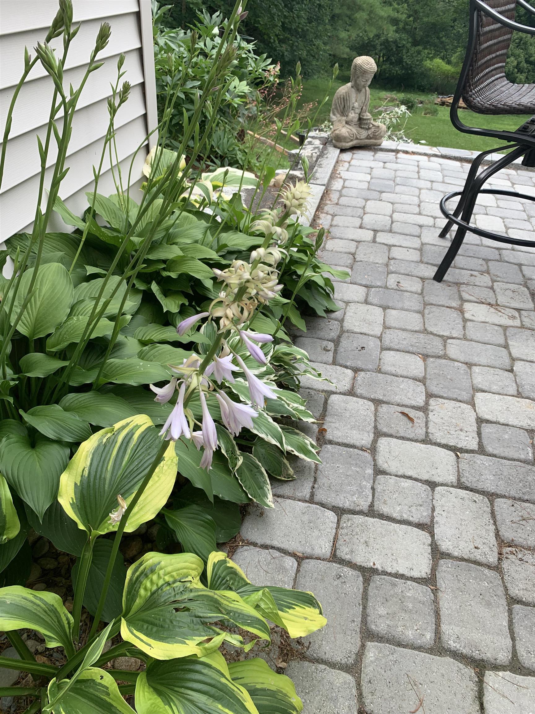 6 Hillside Road North Hampton, NH 03862 - Photo 18 of 24