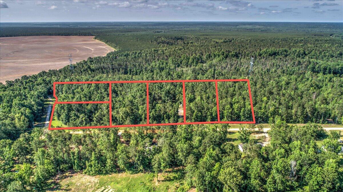 2544 Pineneedle Road Hephzibah, GA 30815 - Photo 45 of 49 View of all parcels
