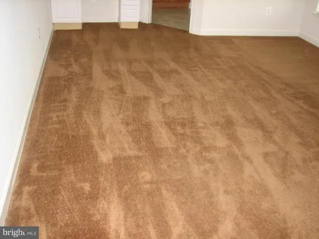 a view of outdoor space and window