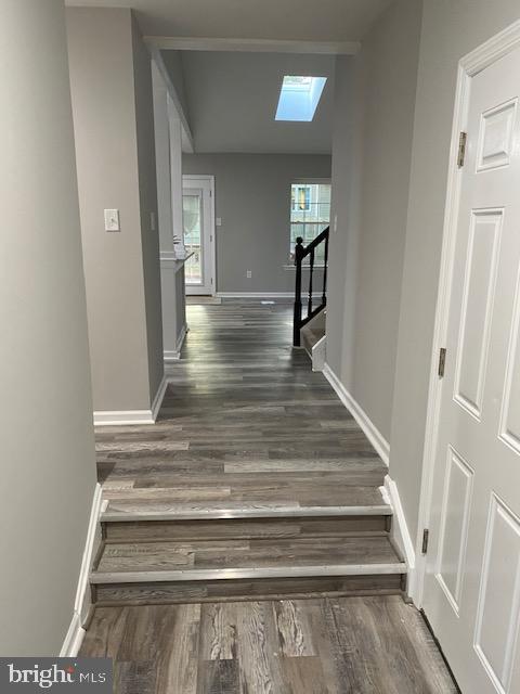 41 Fillmore Way Sicklerville, NJ 08081 - Photo 16 of 24 Gallery Image 16