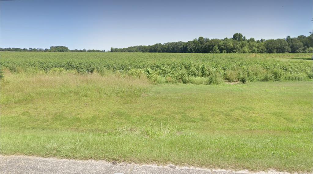 0 County Road 49 Slocomb, AL 36375 - Photo 1 of 1 Main View