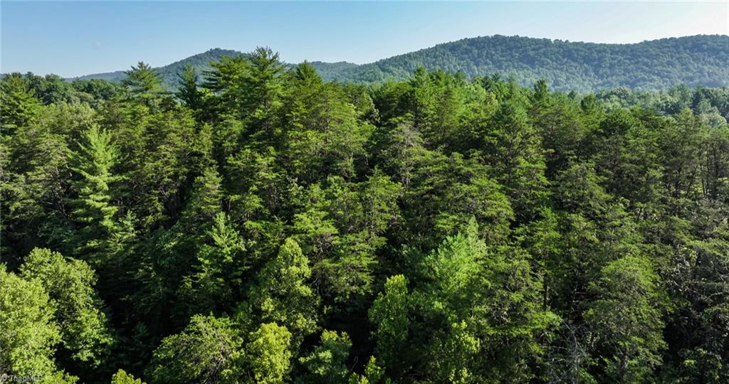 Tbd Boone Trail Purlear, NC 28665 - Photo 10 of 45