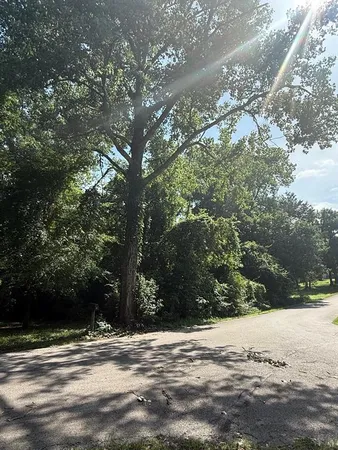 a view of a yard with a tree