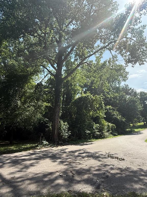 131 Ridgewood Drive Tool, TX 75143 - Photo 3 of 4 a view of a yard with a tree