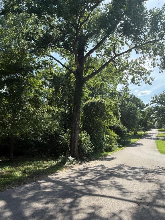 131 Ridgewood Drive Tool, TX 75143 - Photo 4 of 4 a view of a yard with a tree