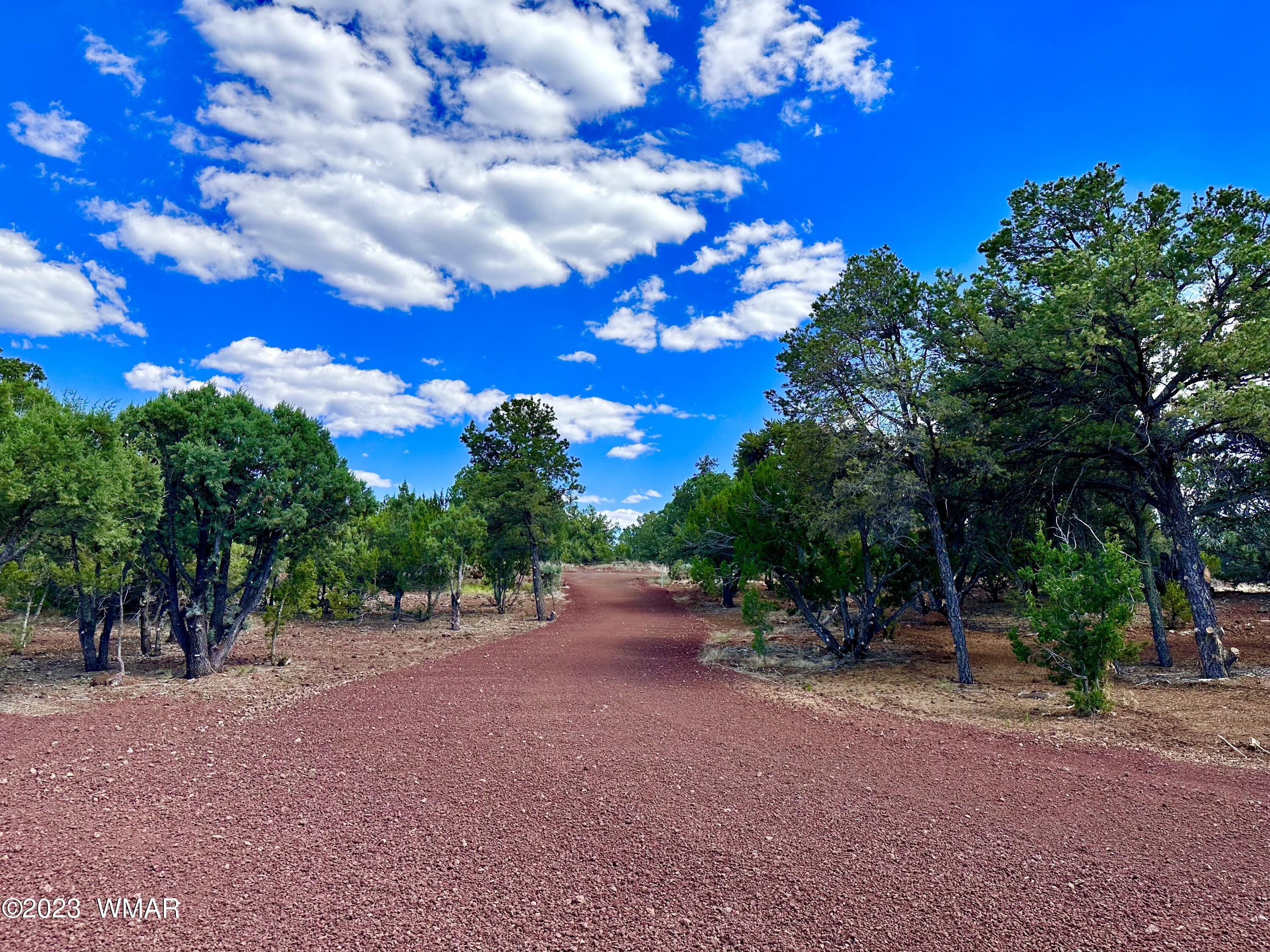 7 North 8409th Concho, AZ 85924 - Photo 1 of 25