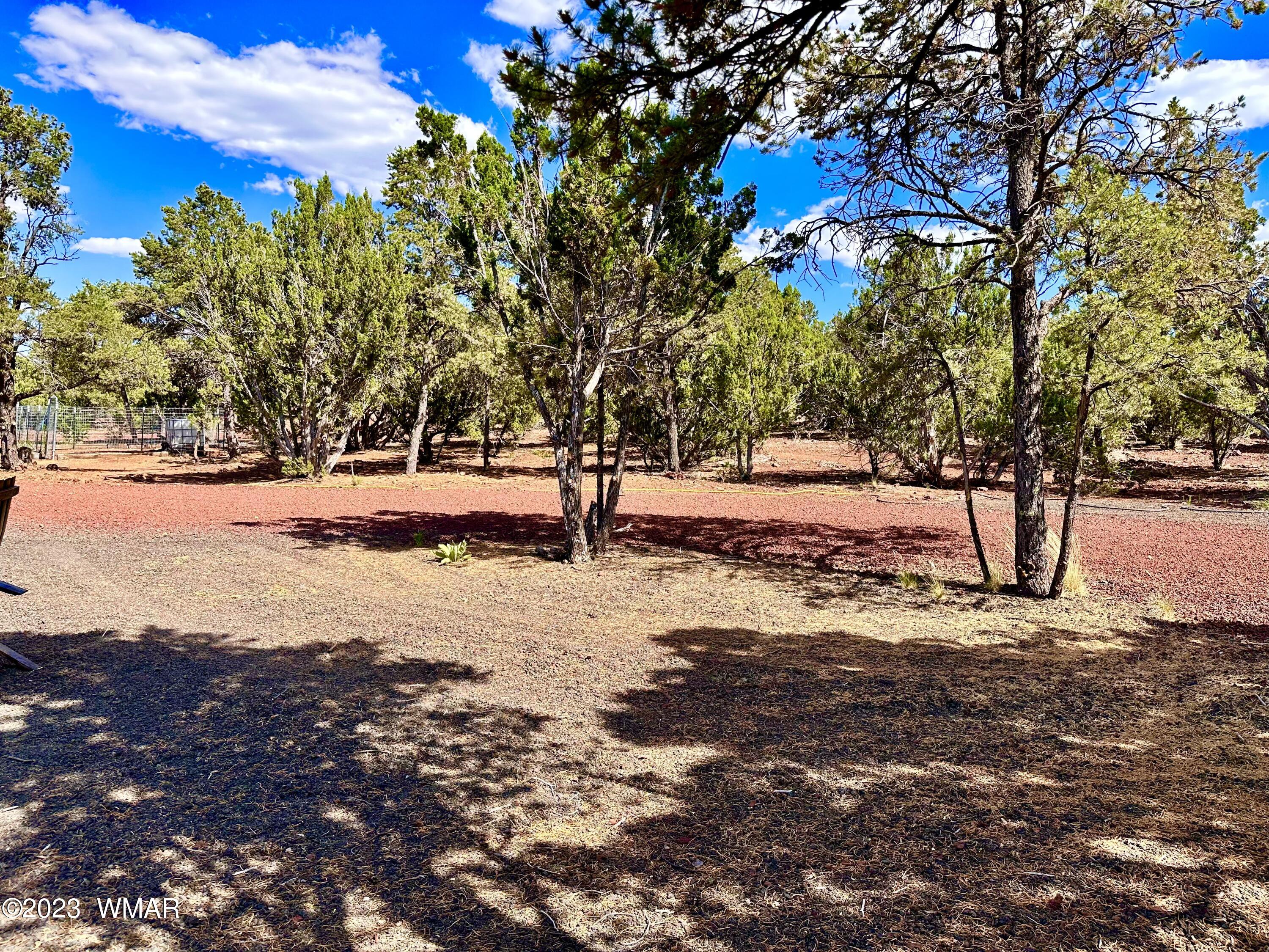 7 North 8409th Concho, AZ 85924 - Photo 14 of 25