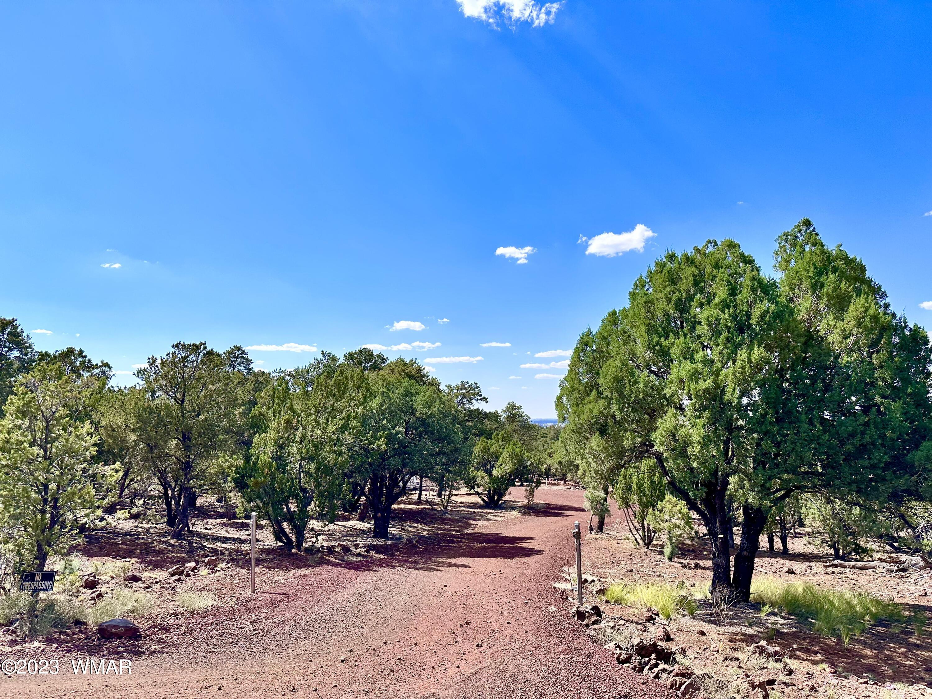 7 North 8409th Concho, AZ 85924 - Photo 4 of 25