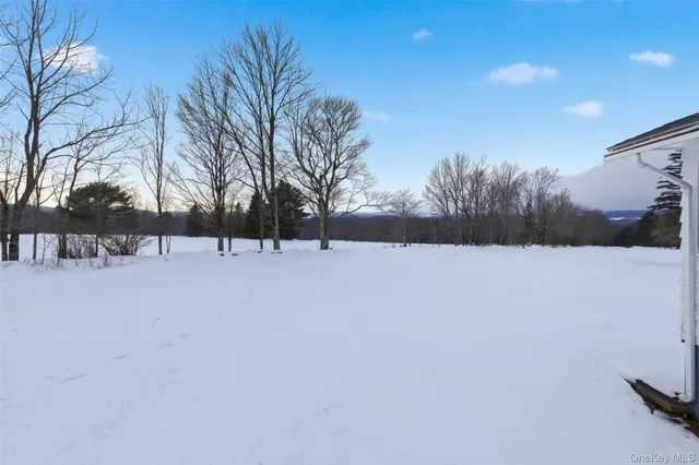 a view of snow with yard