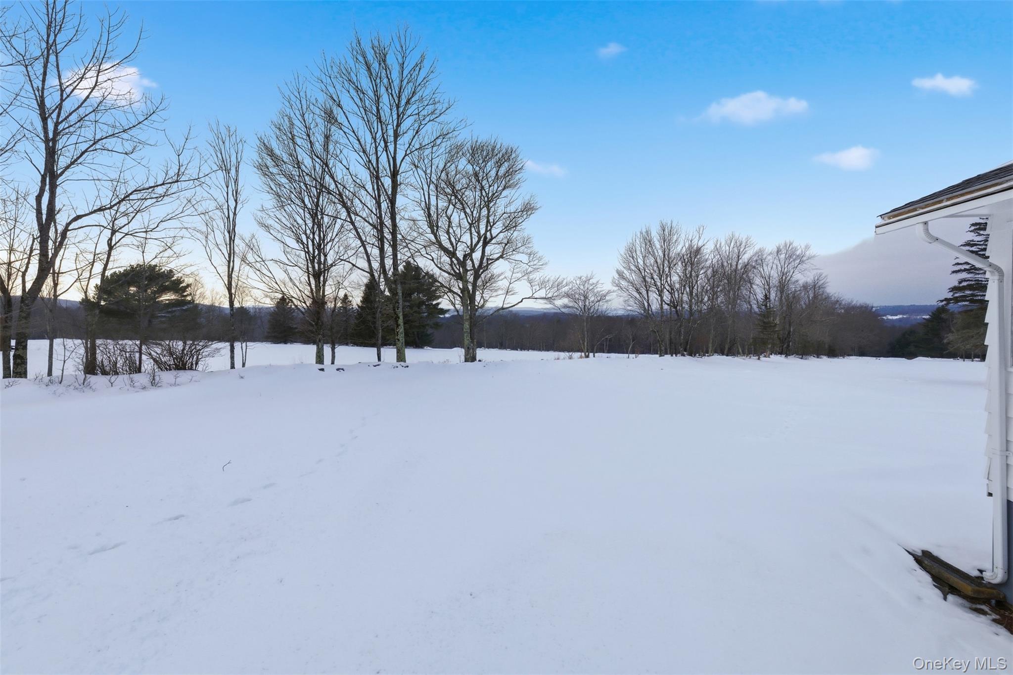 191 Rose Road Woodbourne, NY 12788 - Photo 23 of 47 View of snowy yard from side deck