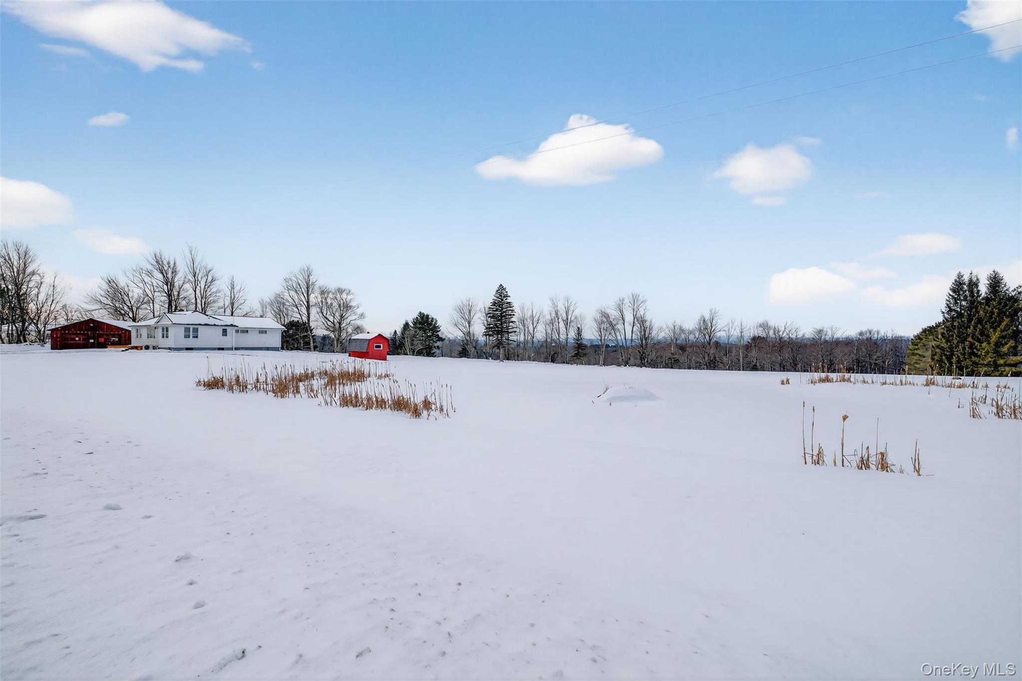 191 Rose Road Woodbourne, NY 12788 - Photo 27 of 47 View of yard and pond covered in snow