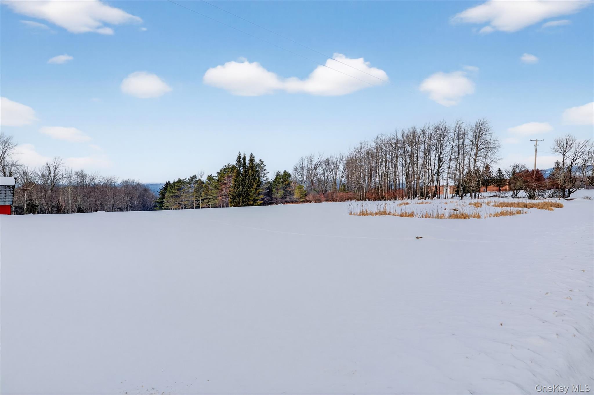 191 Rose Road Woodbourne, NY 12788 - Photo 28 of 47 View of yard and pond layered in snow