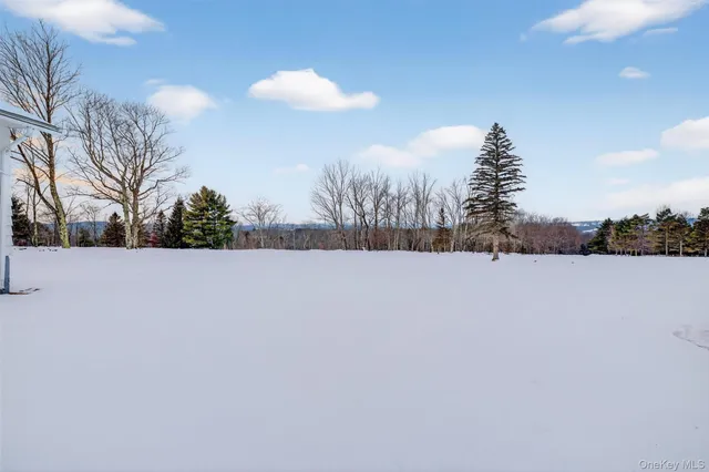 a front view of a house with a yard covered in snow