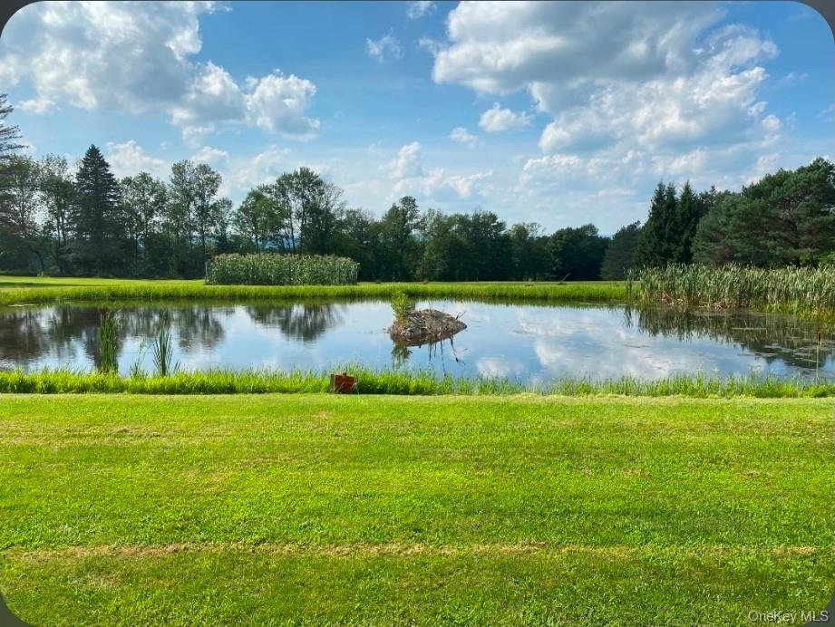 191 Rose Road Woodbourne, NY 12788 - Photo 3 of 47 Your very own turtle pond set amongst a beautiful grassy yard with great space for sports, gardens or even a future barn for homesteading