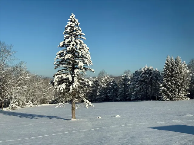 a view of a grassy field with trees
