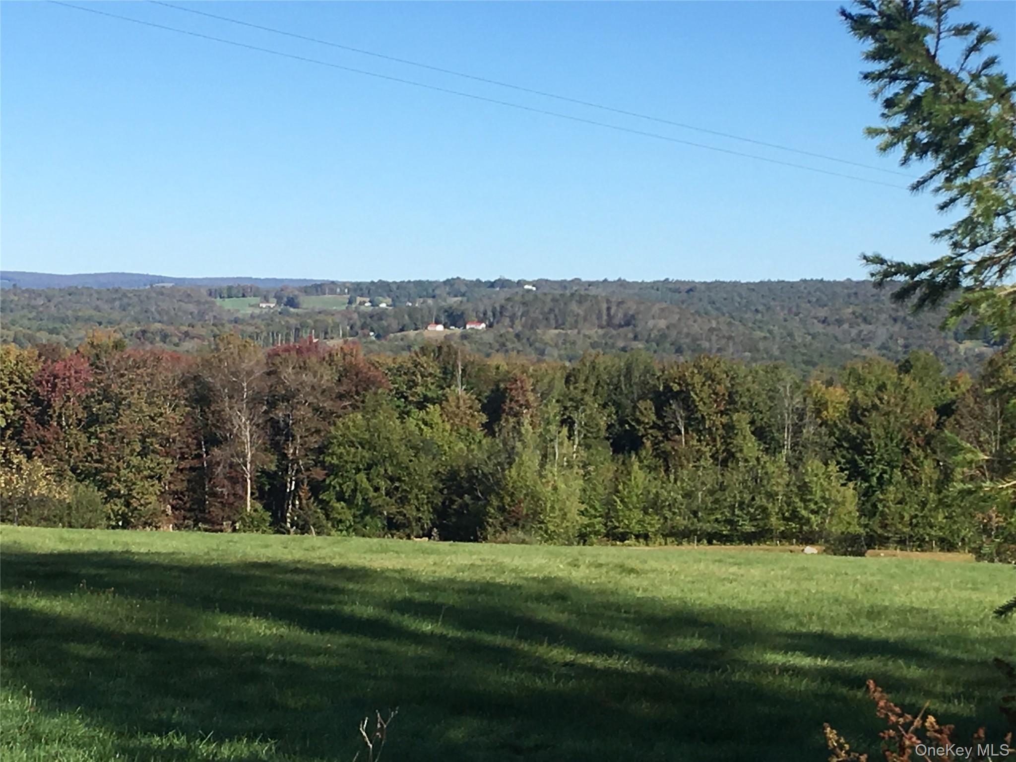 191 Rose Road Woodbourne, NY 12788 - Photo 41 of 47 View of mountain backdrop featuring a heavily wooded area