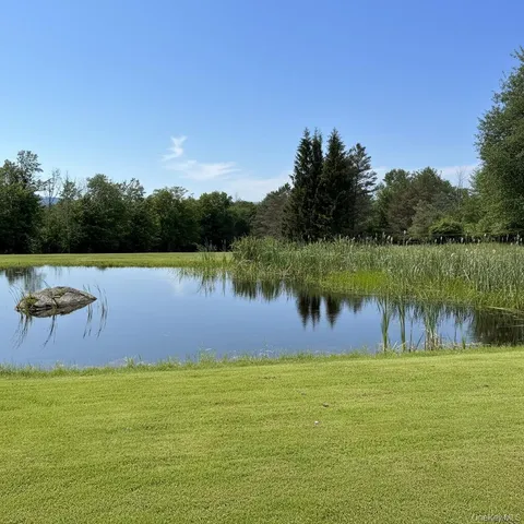a view of a field of grass and a tree