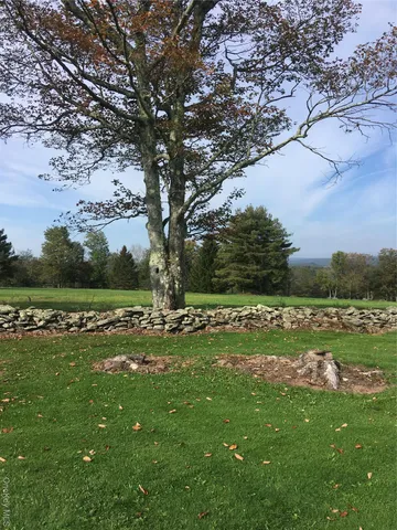 a view of field with tall trees