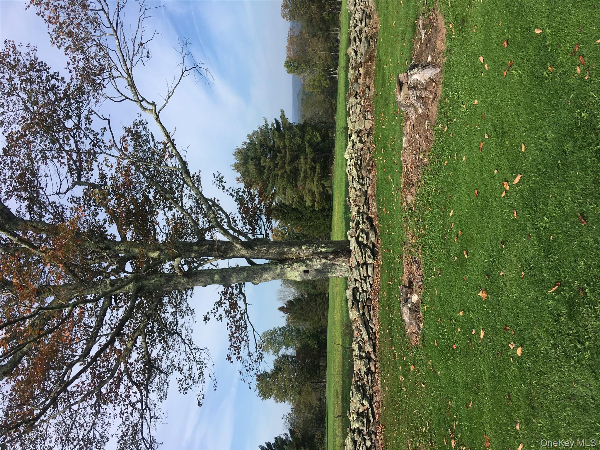 191 Rose Road Woodbourne, NY 12788 - Photo 44 of 47 View of grassy yard