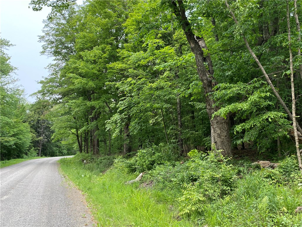 0 Gross Road Mount Vision, NY 13810 - Photo 1 of 1