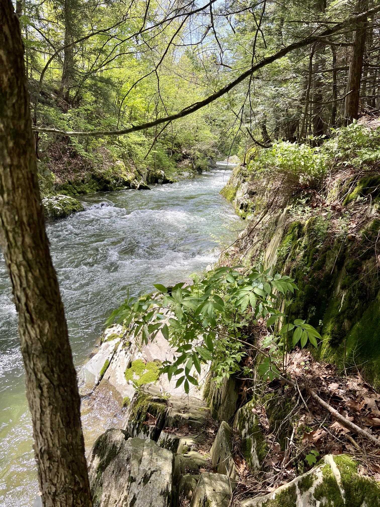 228 Button Falls Road Pawlet, VT 05775 - Photo 14 of 39