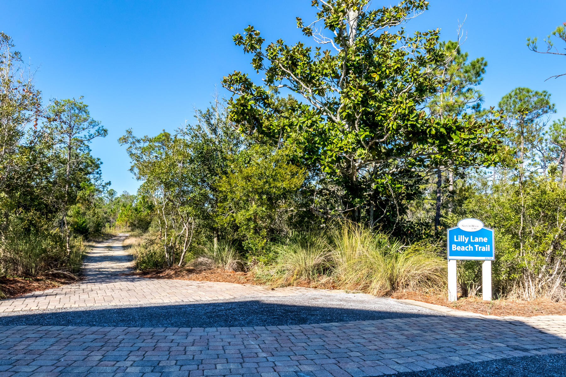 293 Flatwoods Forest Loop Santa Rosa Beach, FL 32459 - Photo 36 of 39 293 Flat Woods MLS-9