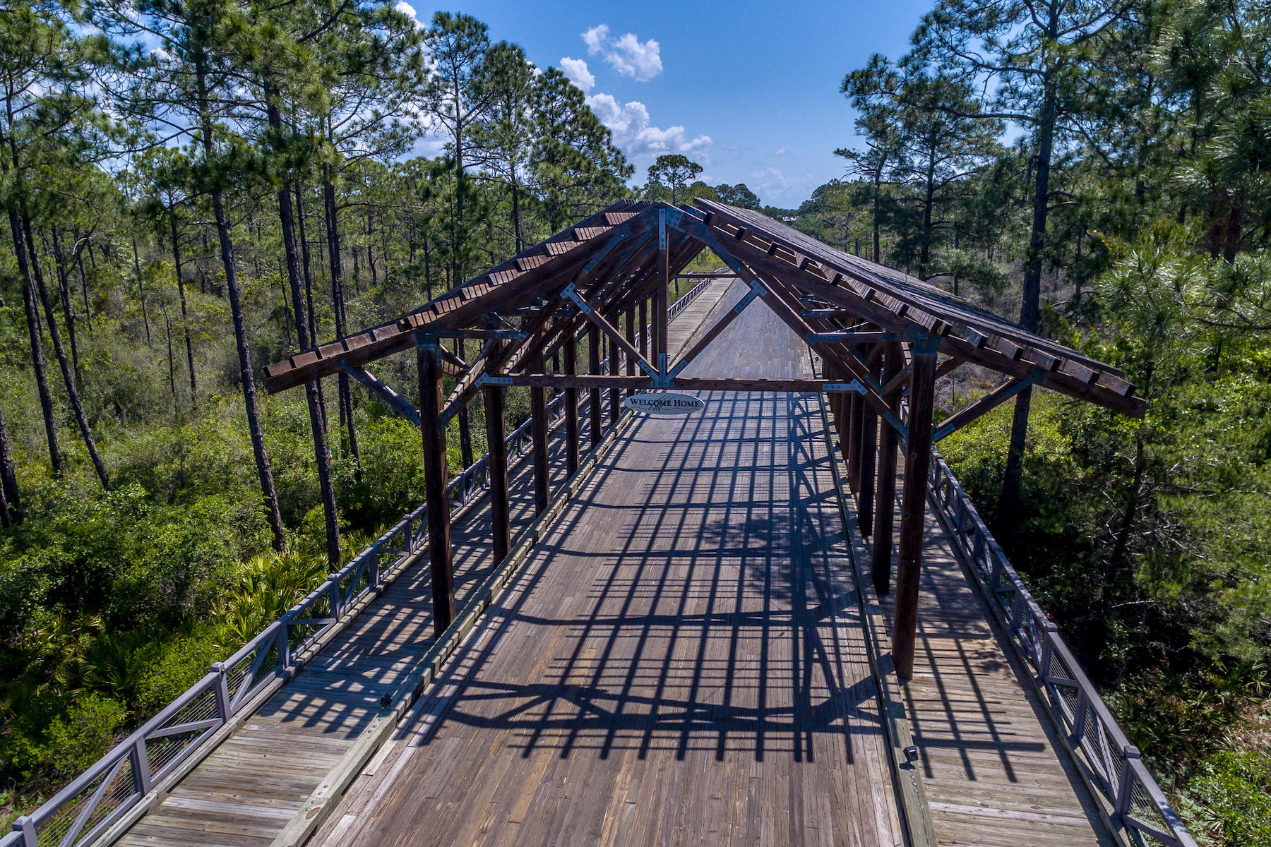 293 Flatwoods Forest Loop Santa Rosa Beach, FL 32459 - Photo 38 of 39 Nature Walk Drone-20